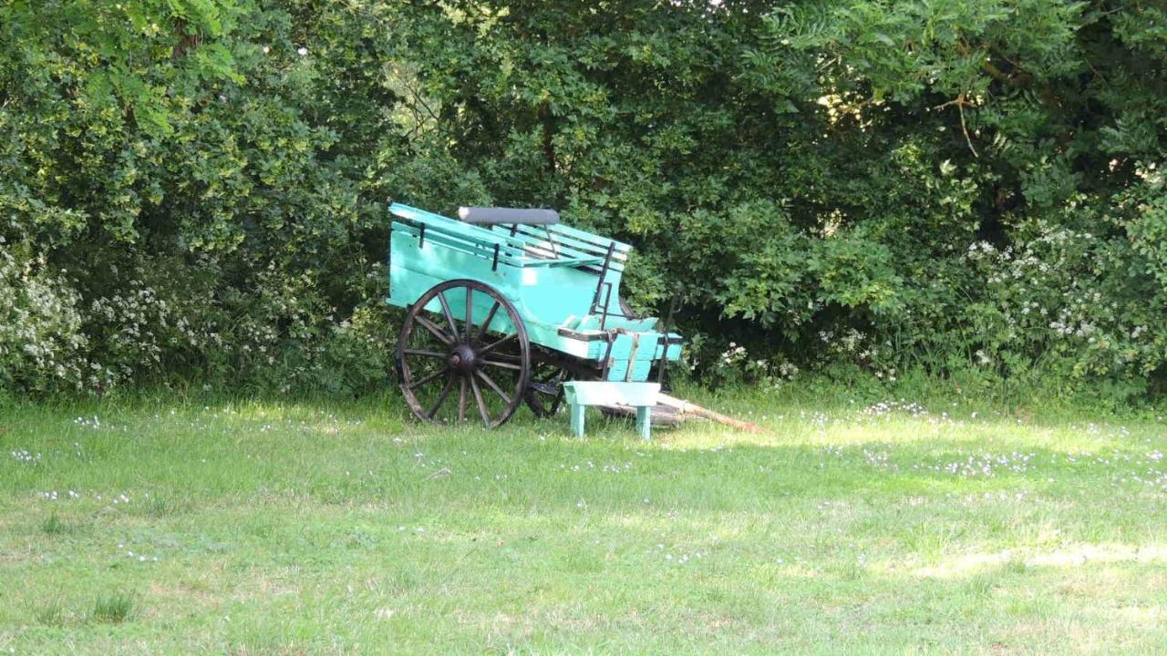 Bed & Breakfast Moulin De La Placette Faye-d'Anjou